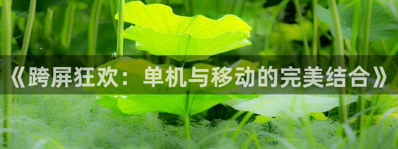 杏运娱乐注册账号入口在哪里：《跨屏狂欢：单机与移动的完美结合