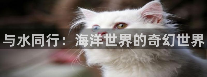 杏运娱乐注册账号入口在哪里：与水同行：海洋世界的奇幻世界