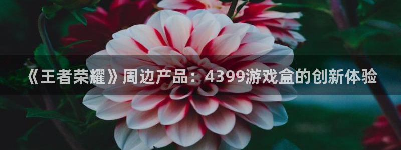 杏运连连