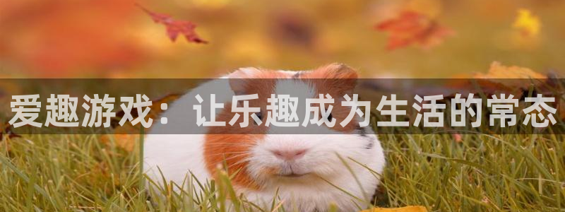 杏运连连：爱趣游戏：让乐趣成为生活的常态