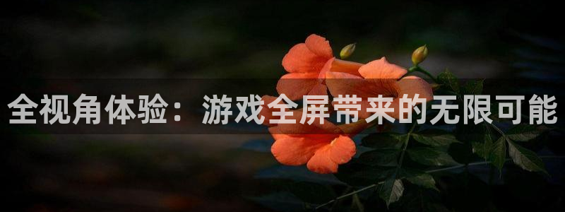 杏运：全视角体验：游戏全屏带来的无限可能