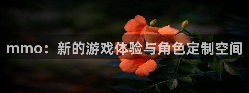 杏运体育官方网址：mmo：新的游戏体验与角色定制空间
