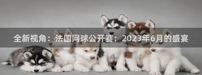 24直播体育直播nba直播：全新视角：法国网球公开赛：2023年6月的盛宴