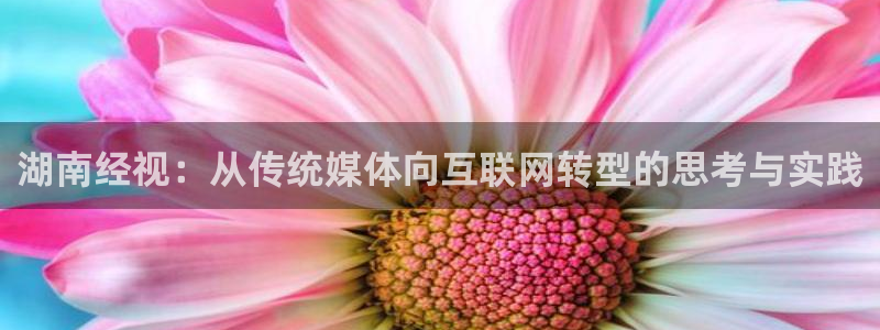 24直播网nba直播足球：湖南经视：从传统媒体向互联网转型的思考与实践
