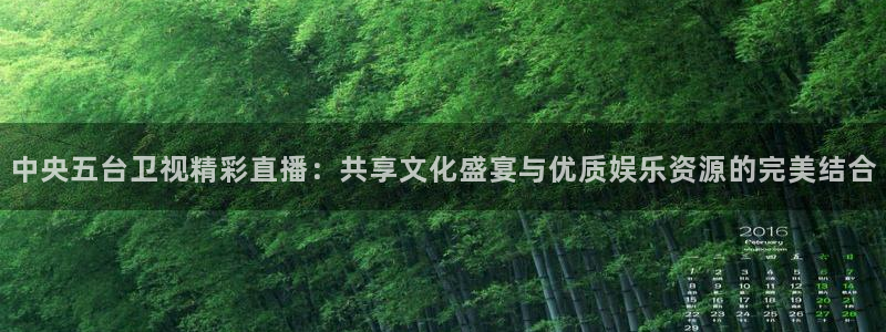 24直播网 nba直播吧：中央五台卫视精彩直播：共享文化盛宴与优质娱乐资源的完美结合