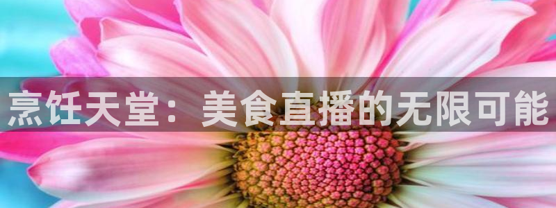 24直播网nba直播吧,足球直播五大联赛：烹饪天堂：美食直播的无限可能