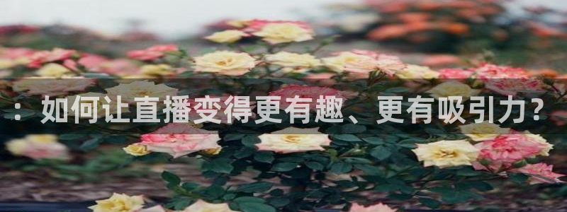 24直播app：：如何让直播变得更有趣、更有吸引力？