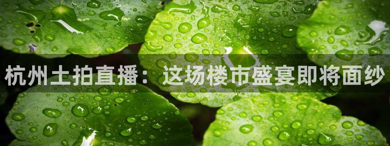 nba直播免费24直播网：杭州土拍直播：这场楼市盛宴即将面纱