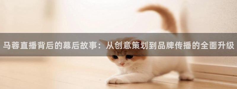 24直播网乒乓球直播：马蓉直播背后的幕后故事：从创意策划到品牌传播的全面升级