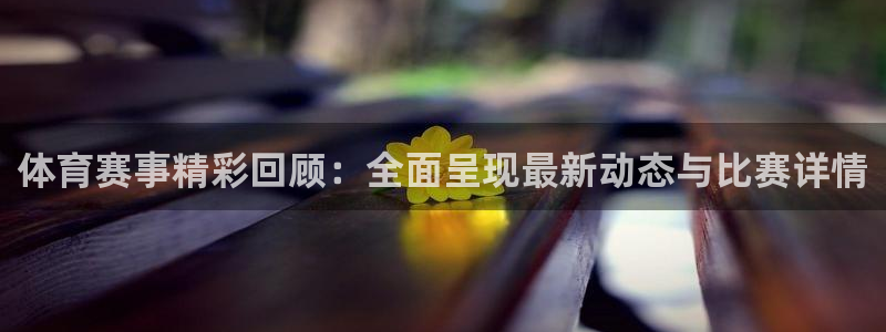 足球24直播网：体育赛事精彩回顾：全面呈现最新动态与比赛详情