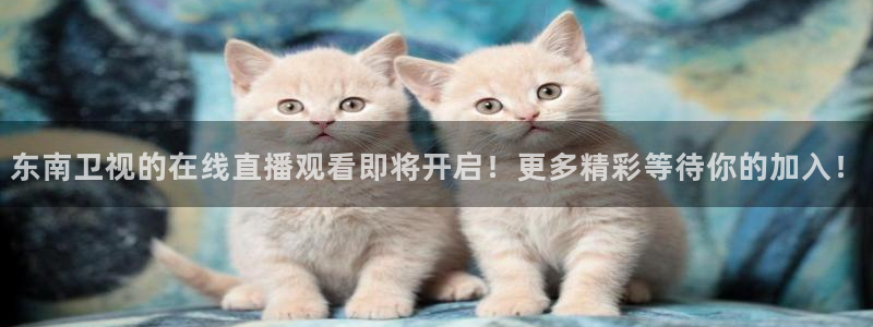 nba在线直播24直播：东南卫视的在线直播观看即将开启！更多精彩等待你的加入！