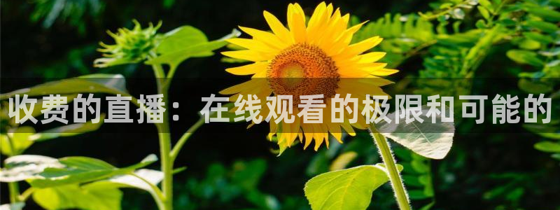 24直播网汇集nba直播吧 足球直播：收费的直播：在线观看的极限和可能的