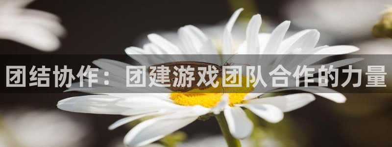 杏运娱乐怎么样