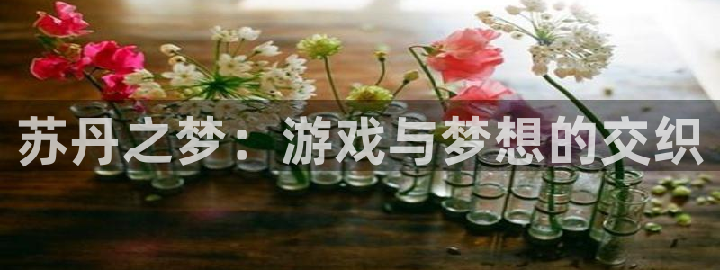 杏运娱乐手机端官网