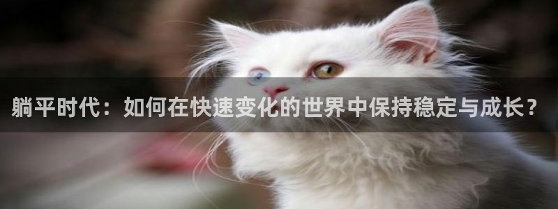 杏运体育