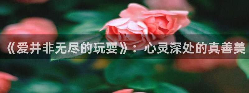 杏运电影免费观看