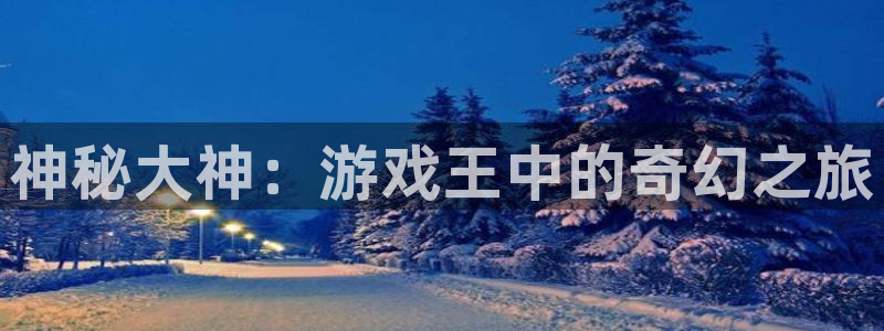 杏运娱乐手机端官网