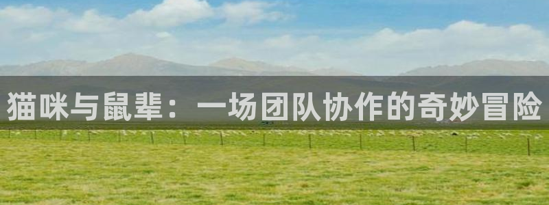杏运：猫咪与鼠辈：一场团队协作的奇妙冒险
