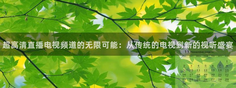 24直播网nba在线直播免费观看：超高清直播电视频道的无限可能：从传统的电视到新的视听盛宴